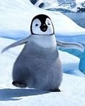 pic for mumble happy feet